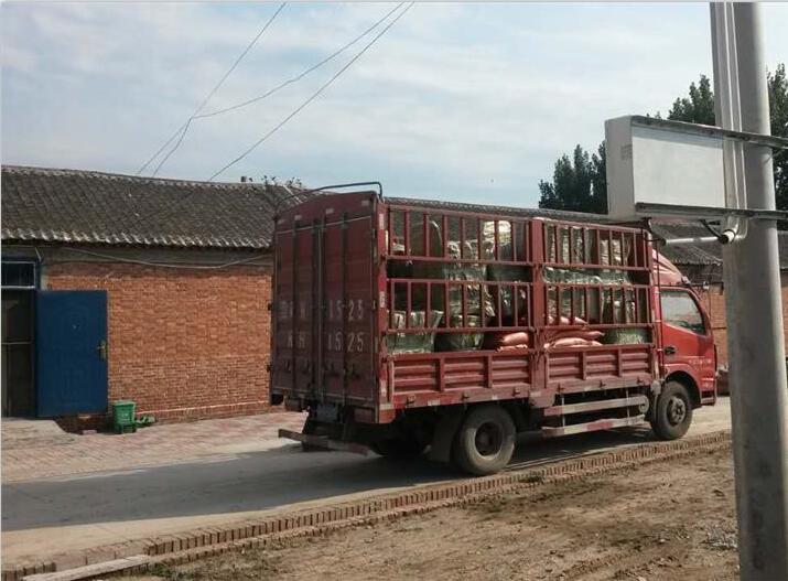 公司簡(jiǎn)介廣告